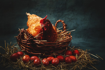 Naklejka premium Chicken sit in a basket and painted Easter eggs around