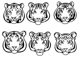 Set of tiger face. Collection of sillouette portraits predatory wild cats. Set of wildlife and fauna dwellers. Black and white illustration for the zoo. Tattoos.