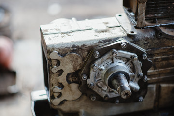 engine gears wheels, closeup view