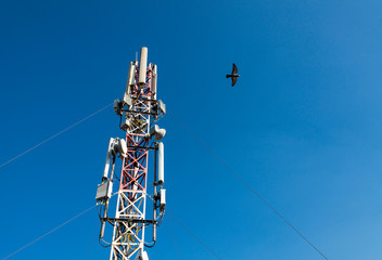 A cell phone tower on the background of blue sky and flying bird