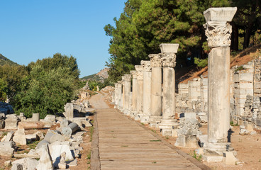 Fototapete bei efototapeten.de bestellen   