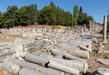 Fototapete bei efototapeten.de bestellen   