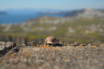 young man sitting on the rocks