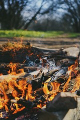 smoke and campfire fire in the forest