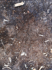 Wooden timber natural background art