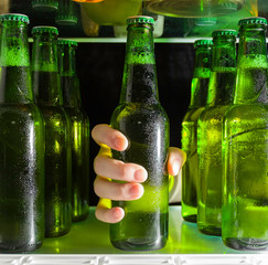 The hand reaches for the beer bottle. Green bottles of beer and drops of condensation are on a shelf in the fridge.
