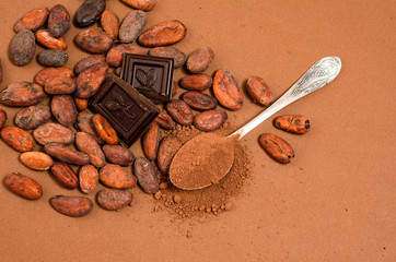 Bar of chocolate, cocoa powder and cocoa beans