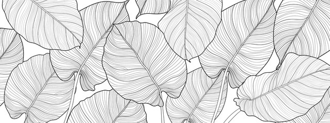 Nature background vector. Black and white floral pattern, Split-leaf Philodendron plant with monstera plant line arts, Vector illustration.