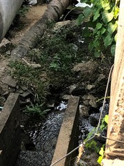 The water flow in thailand