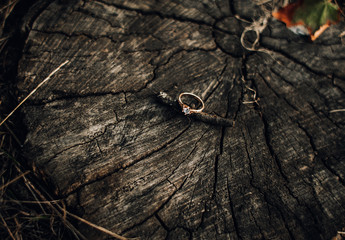 The engagement ring lies on a tree stump. Offers hands and hearts.