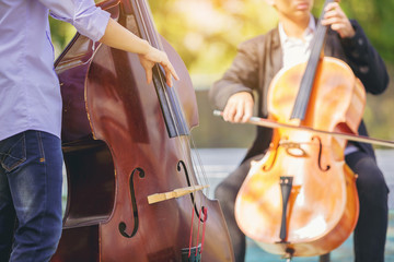 Musician man is practicing the double bass (Contrabass) and cello playing with the melodiousness....
