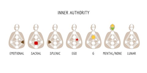 Authority types. Human Design BodyGraph. Hand drawn bodygraph chart design. Vector