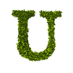 Letter U nature leaf alphabet. 3D Rendering