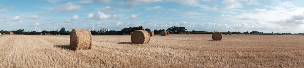 Panoramic view hay rolls in a French filed. 