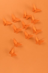 Obraz premium Orange origami butterfly, on orange background.