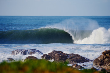 Ilha de Salgueiros