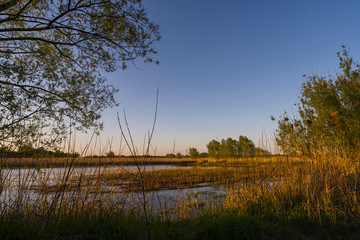 Sonnenuntergang Natur Münster Rieselfelder Farbe Stimmung