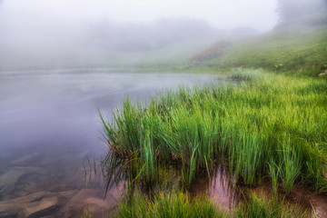 The shore of the lake with coastal grass is hidden in dense fog
