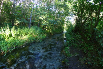 mountain river with a stone bottom in the forest
