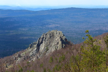 mountain cliffs rise above the forest