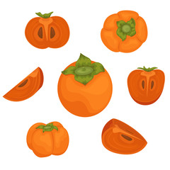 The set of 7 ripe persimmons. Persimmon whole and pieces. Vector illustration of fruits.