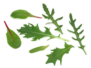 Mix of fresh lettuce, chard, arugula, mizuna, top view on a plate isolated on a white background