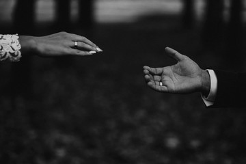 The bride extends her hand to the groom. The moment of the wedding day. Closeup of brides hands. Black and white photography