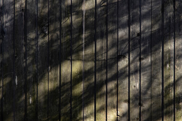 Wooden fence in the shade of trees