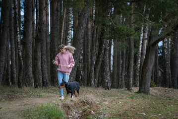 A girl in jeans runs with a Doberman in a pine forest.