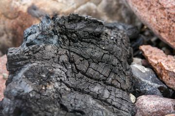 verbrantes holz am Strand