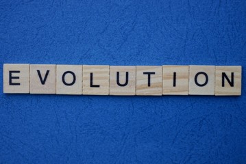 the inscription of the gray word evolution of gray small wooden letters lie on a blue table
