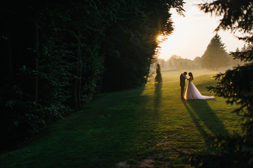 Wedding couple. Standing face to face on sunset with the green hills on background.
