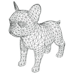 French Bulldog polygonal lines illustration. Abstract vector dog on the white background