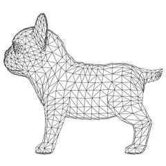 French Bulldog polygonal lines illustration. Abstract vector dog on the white background