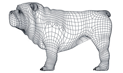 English Bulldog polygonal lines illustration. Abstract vector dog on the white background