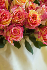 A bouquet of pink flowers. White fabric, beige fabric, plain fabric. Two-tone roses, pink and yellow roses