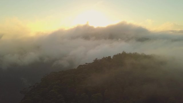 Moody low fog with golden sunrise in the Blue Mountains Australia