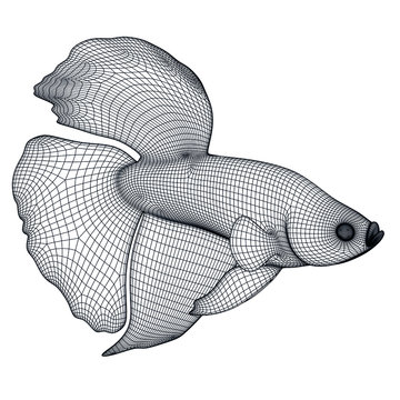 recommend clip art: Siamese fish polygonal lines illustration. Abstract vector fish on the white background