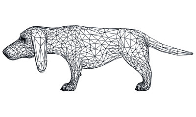 Basset Hound dog polygonal lines illustration. Abstract vector dog on the white background