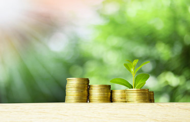 growing money with stack of coins and plant growth, Investment, finance and insurance concept 