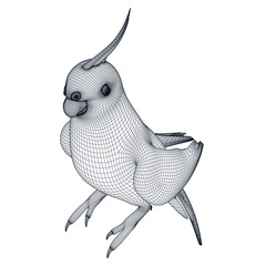 Australian Cockatiel parrot polygonal lines illustration. Abstract vector parrot on the white background