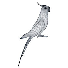 Fototapeta premium Australian Cockatiel parrot polygonal lines illustration. Abstract vector parrot on the white background