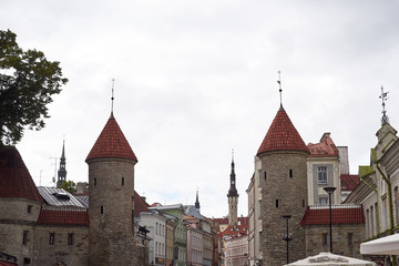 Fototapeta premium roofs of the old city. spiers and towers. old stone walls of the fortress. tiled roofs and weathercocks. bottom view
