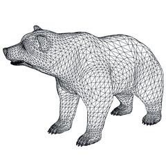 Bear polygonal lines illustration. Abstract vector bear on the white background