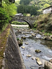 Fototapeta premium 橋