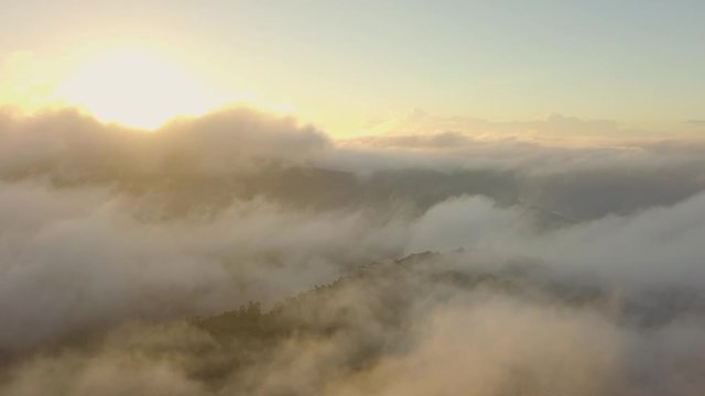 Moody low fog with golden sunrise in the Blue Mountains Australia