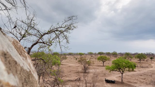 Slow linear push-in dolly timelapse of 4x4 safari vehicle on game drive in conservation reserve, on peaceful cloudy overcast day, spring season bring rain, wild animals (impala antelope) roaming free.