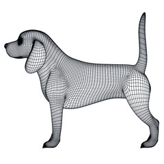 Beagle dog polygonal lines illustration. Abstract vector dog on the white background