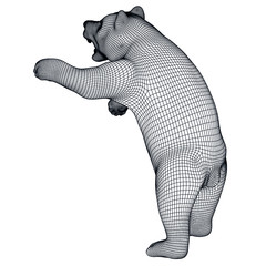 Bear polygonal lines illustration. Abstract vector bear on the white background