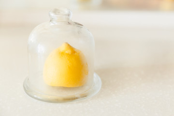 Half of grapefruit, orange, lemon cut for fresh juice. Color splash. Tropical fruits